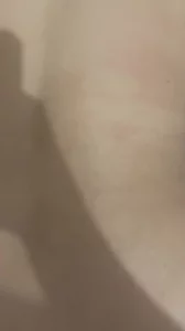 蛇完直发